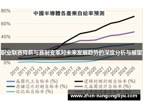 职业联赛降薪与赛制变革对未来发展趋势的深度分析与展望