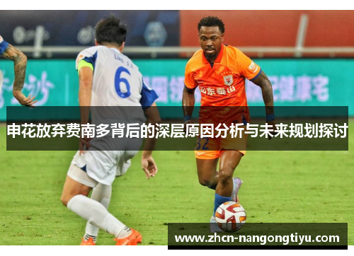 申花放弃费南多背后的深层原因分析与未来规划探讨