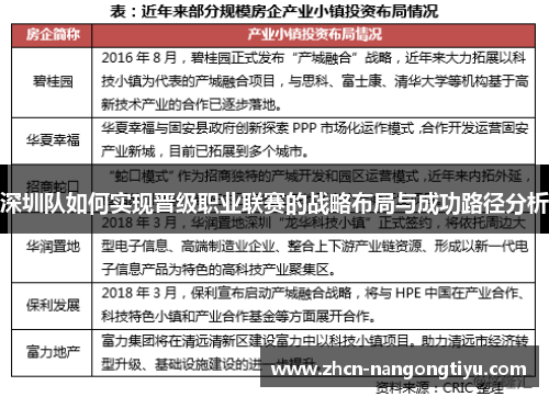 深圳队如何实现晋级职业联赛的战略布局与成功路径分析