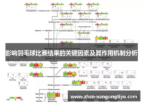 影响羽毛球比赛结果的关键因素及其作用机制分析
